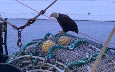 Alaska’s Commercial Fishing Facts Report Released