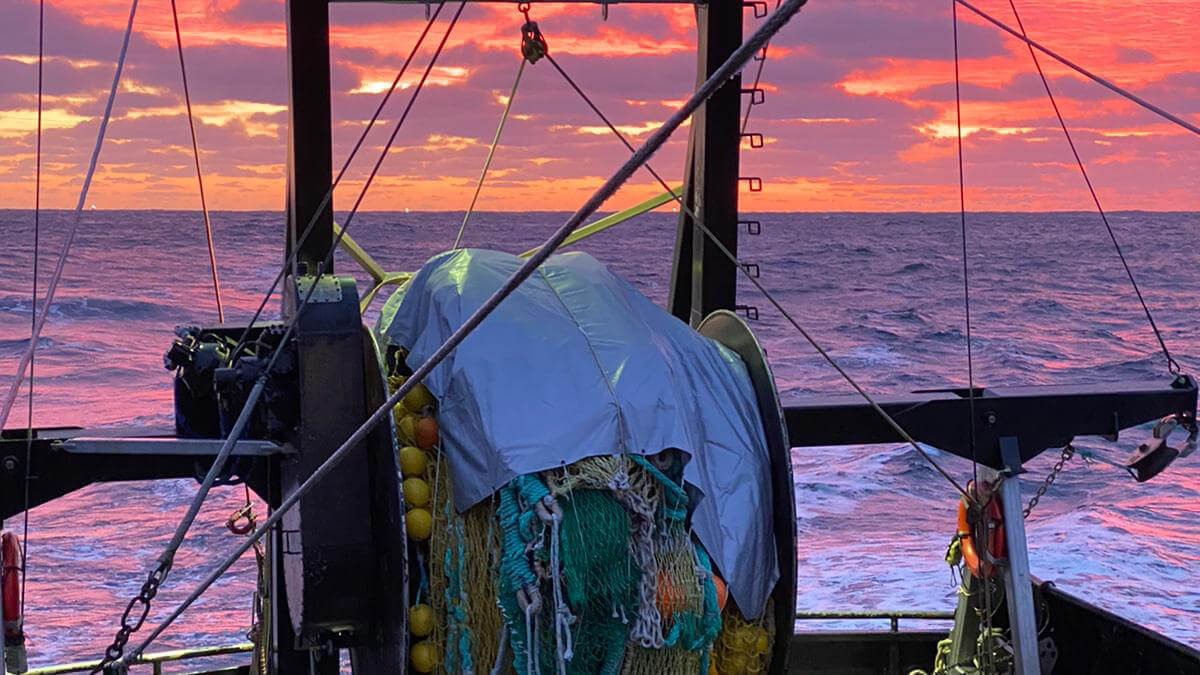 Reel with Trawl at Sunset